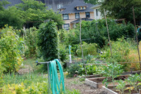 Summers Park Community Garden