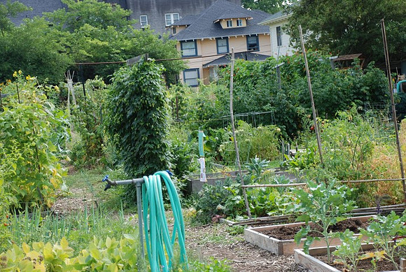 Summers Park Community Garden