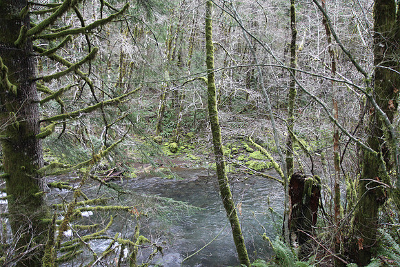 Elk Creek