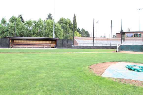 Forest Grove Baseball