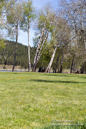 Ranch 18