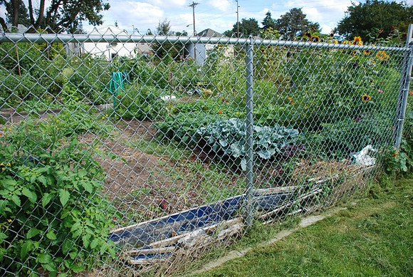 Summers Park Community Garden