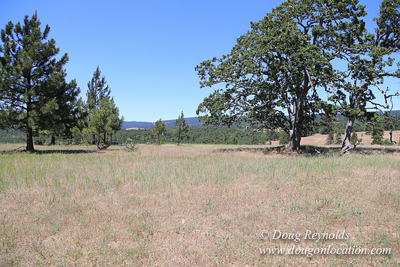 Brothers Ranch-8498