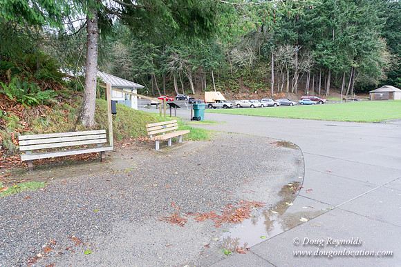 Owen Beach At Pt D