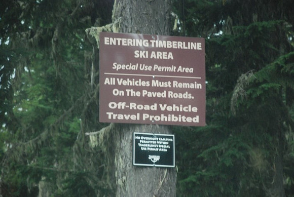 West Leg Road Timberline-0654