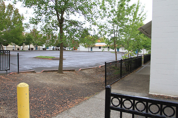 Beaverton Baseball