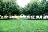 Vancouver Lake Park