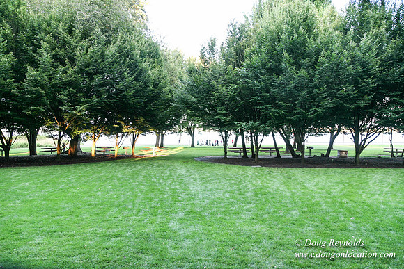 Vancouver Lake Park