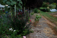 Mt Tabor Park nursery