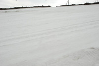 Snow at Timberline-0557