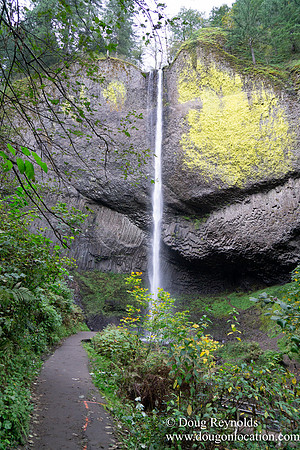 SNog Productions Sony 2016 Oregon