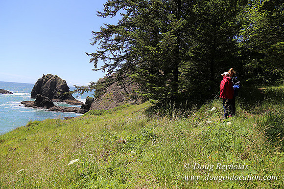 33 Beach SB81-2771