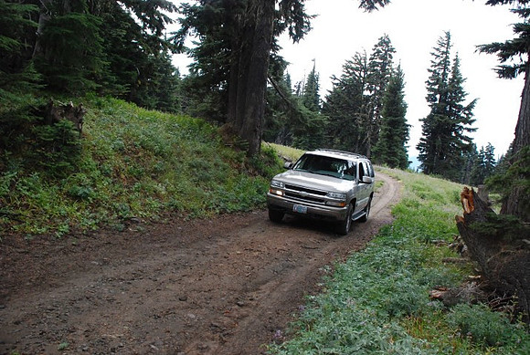 cabins off West Leg Rd-0693
