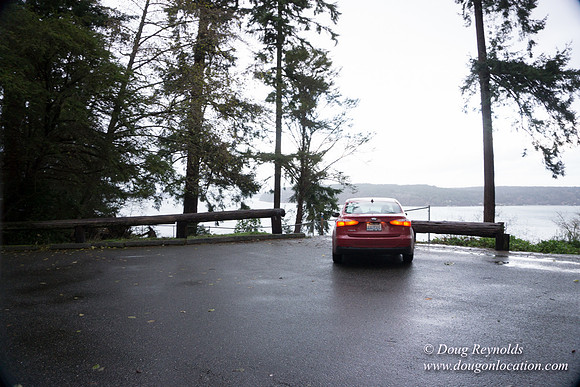 Vashon View