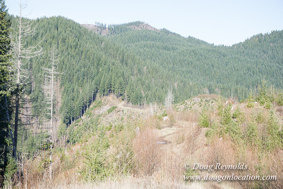 ODF DM View Trail
