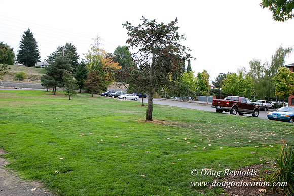 Sellwood RF Park-1887
