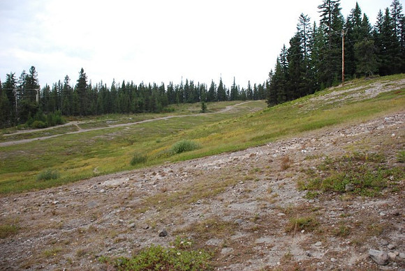 Summit Ski Area-0869