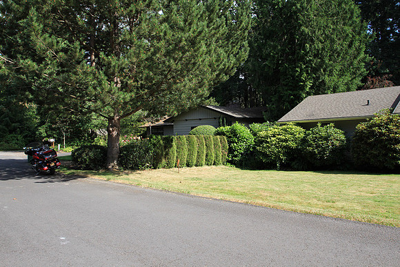 Greenberg Home
