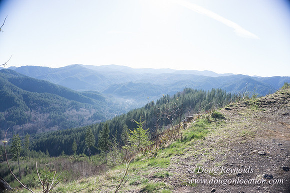 ODF DM View Trail