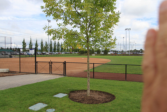 Hillsboro Baseball