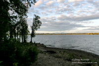 Vancouver Lake Park