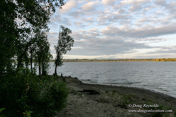 Vancouver Lake Park