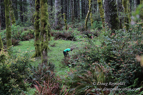Ross on Fairview Mt Rd-1829