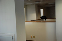 519 SW Park Ave-0890