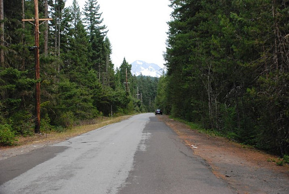 Road 39 near Mt. Hood-0891