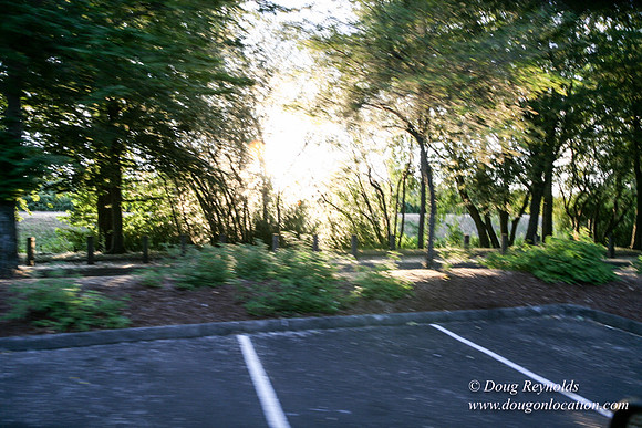Vancouver Lake Park