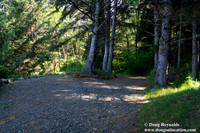 Ranch 26 Beach South Overlook