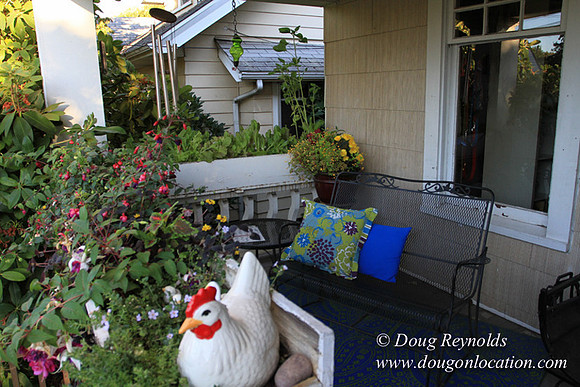 Home" Bungalow, Bee's Back yard Chickens, Small,