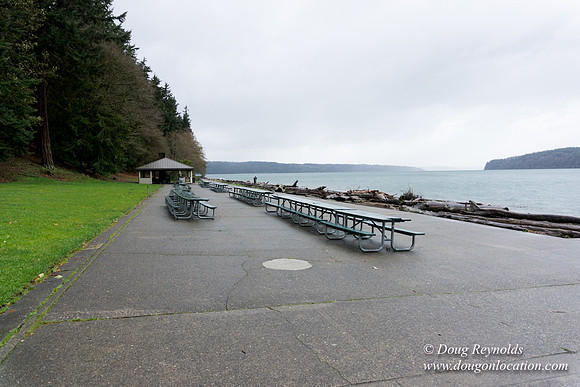 Owen Beach At Pt D