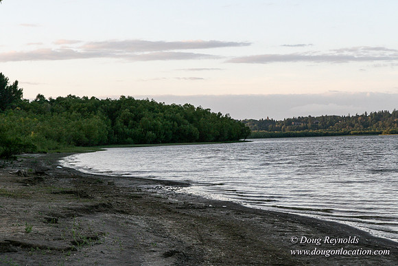 Vancouver Lake Park