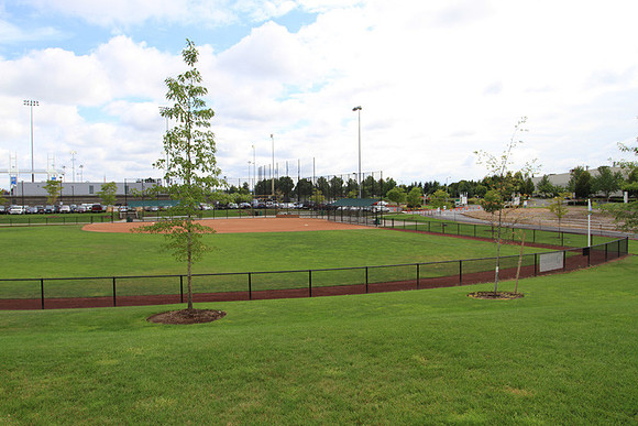 Hillsboro Baseball