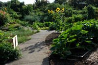 Kennedy community gardens
