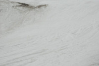 Snow at Timberline-0549