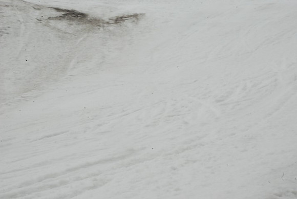Snow at Timberline-0549