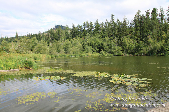 Roberts Lake House-4846