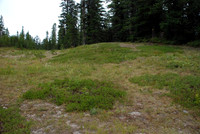 Summit Ski Area-0873