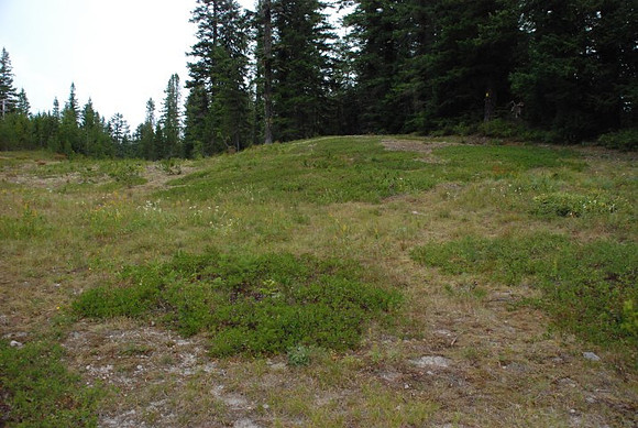 Summit Ski Area-0873