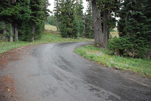 West Leg Road Timberline-0668