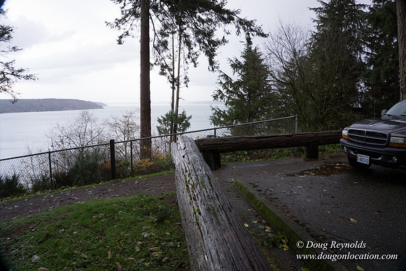 Vashon View