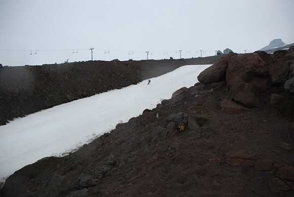 Snow at Timberline-0599