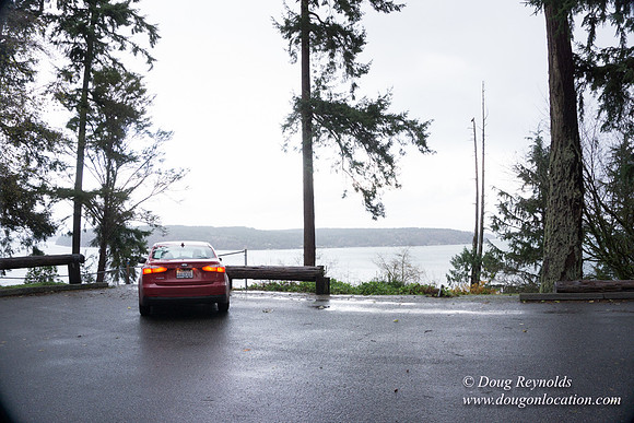 Vashon View