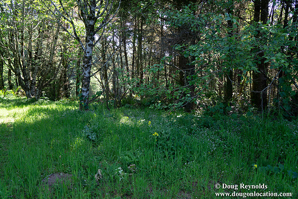 Ranch 26 North Overlook