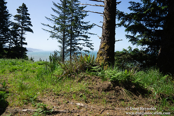 Ranch 26 North Overlook