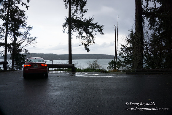 Vashon View