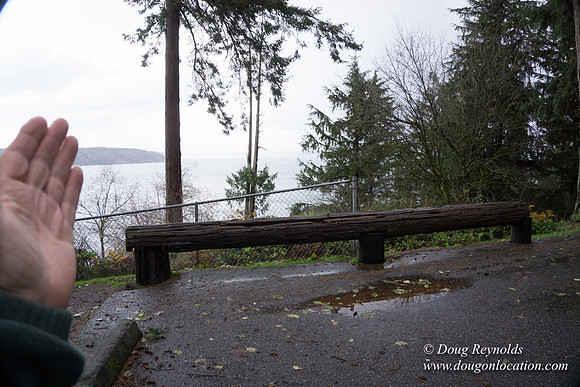 Vashon View