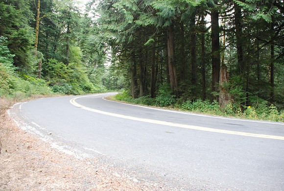 Brower Road-0974